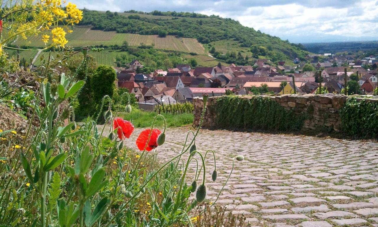Westhalten Auberge Du Cheval Blanc Depuis 1785 מראה חיצוני תמונה